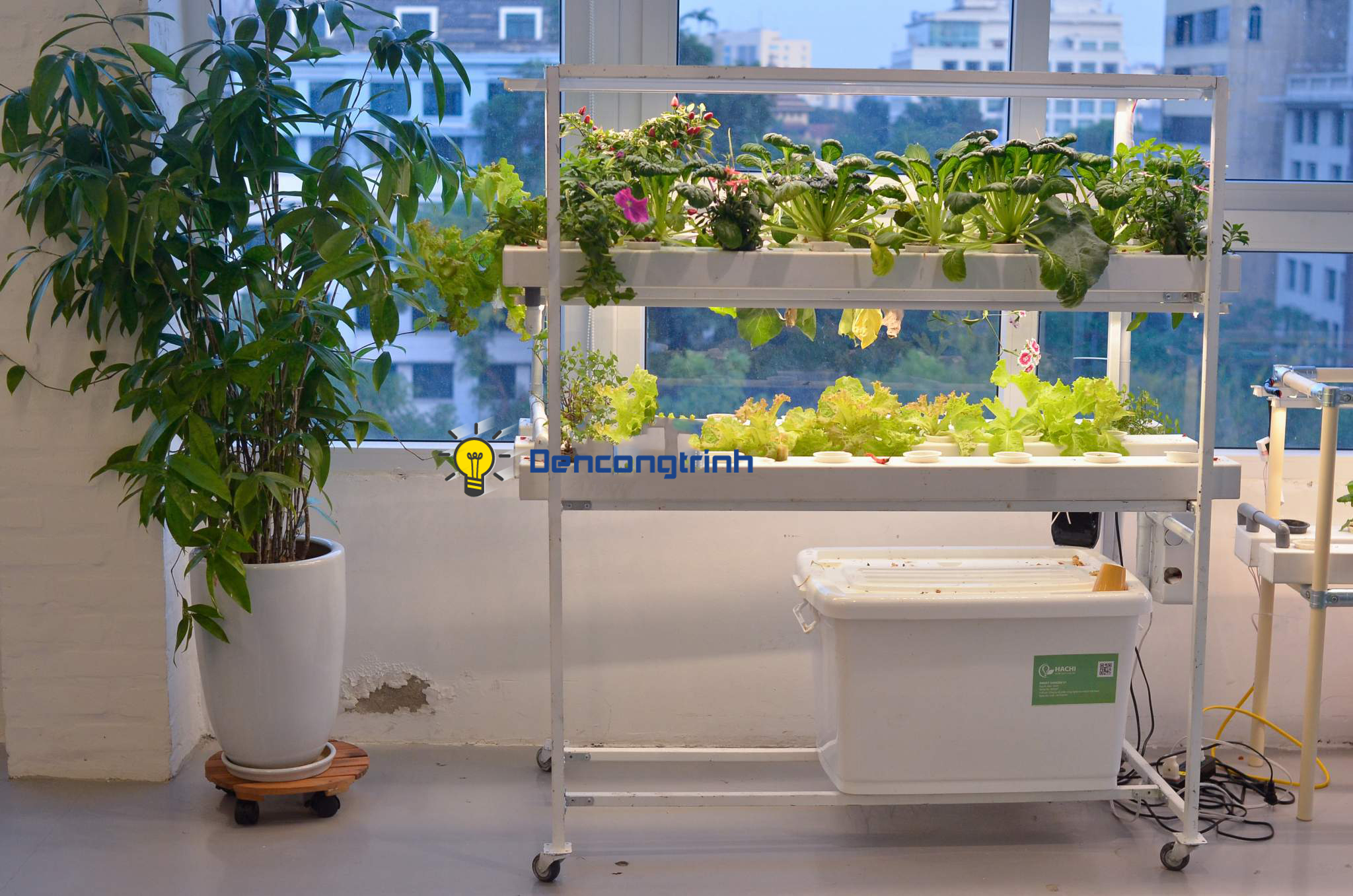 Ánh sáng của đèn led có tốt cho việc trồng cây không?